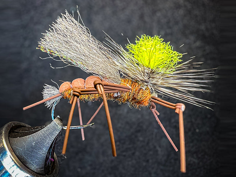 Stonefly 