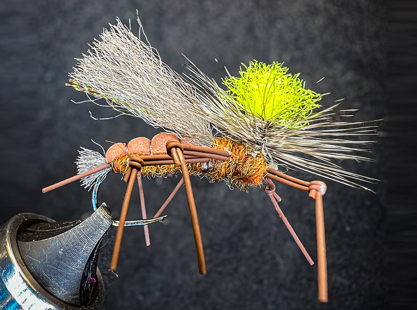 Stonefly 