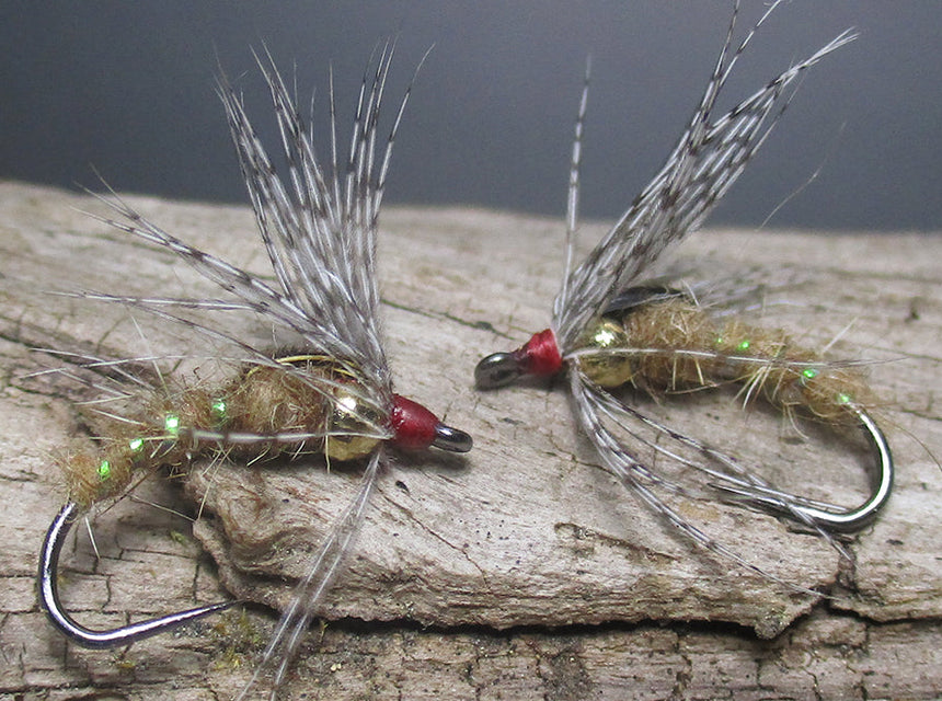 holy grail caddis pupa