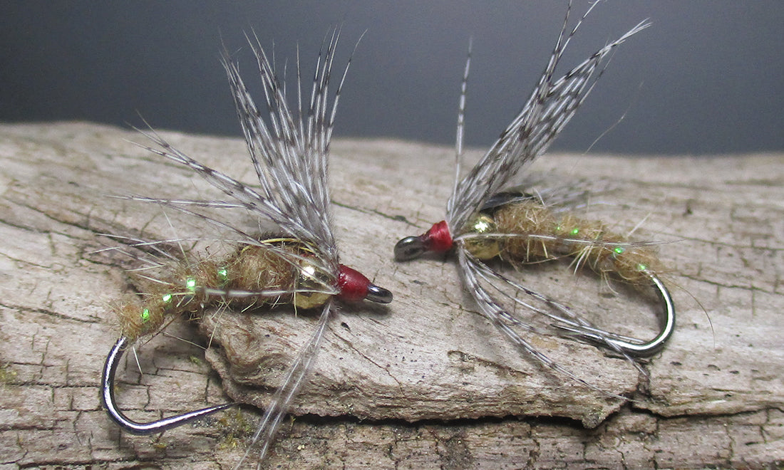 Holy Grail Caddis Pupa Nymph Fly Pattern J. Stockard