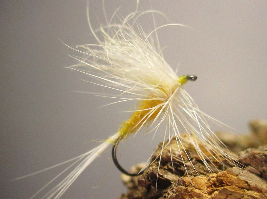 sulphur dun fly