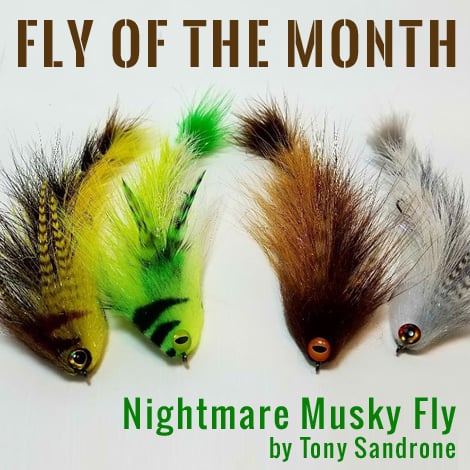 bucktail gamechanger fly