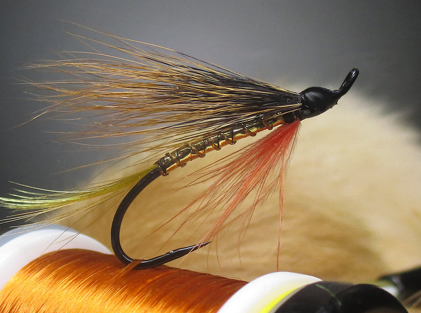 Golden Demon Fly