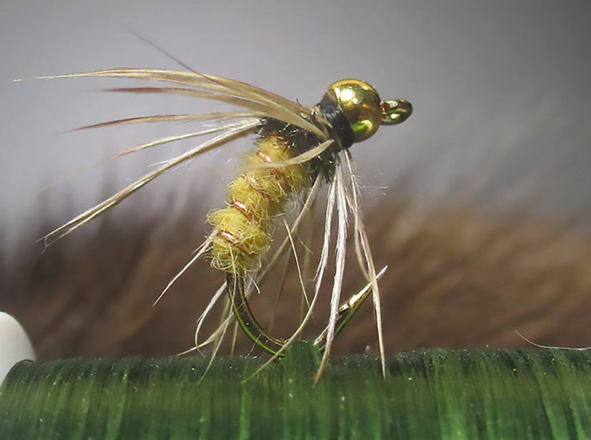 Bead Head Yellow Soft Hackle Caddis Pupa