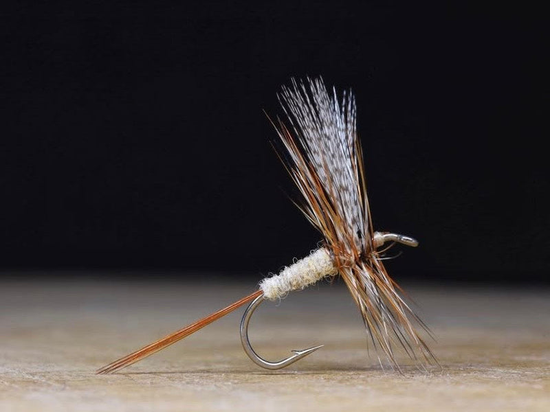 Grey Fox Dry Fly
