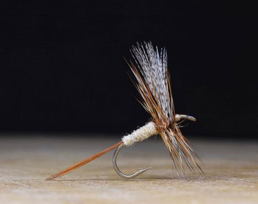 Grey Fox Dry Fly