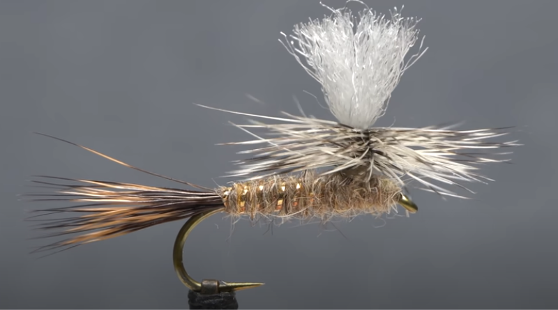 Hare's Ear Parachute