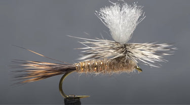 Hare's Ear Parachute