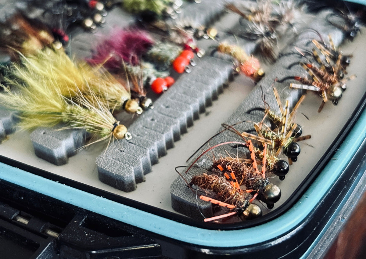 Spring Fly Fishing 