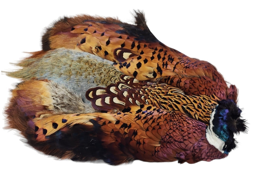 Pheasant feathers