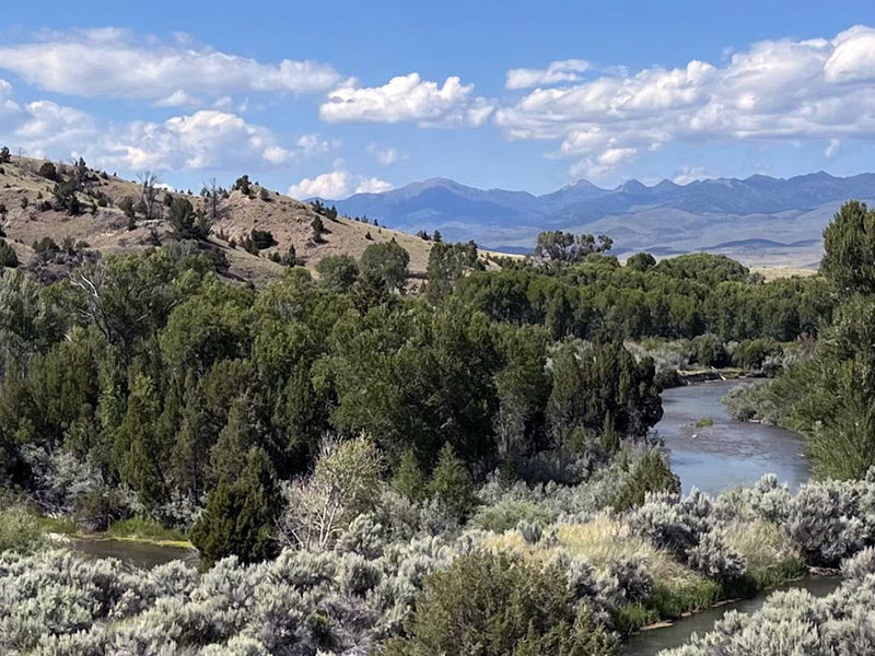 Ruby River
