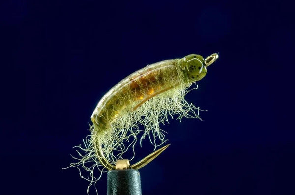 J. Stockard's Fly of the Month | Patterns from the Pros