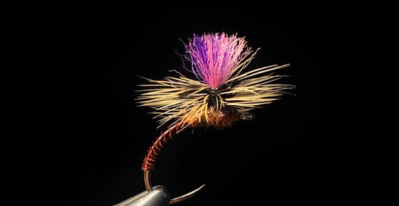 Bi-Colored Iso Klink