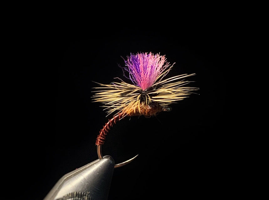 Bi-Colored Iso Klink
