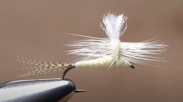 Light Cahill Parachute