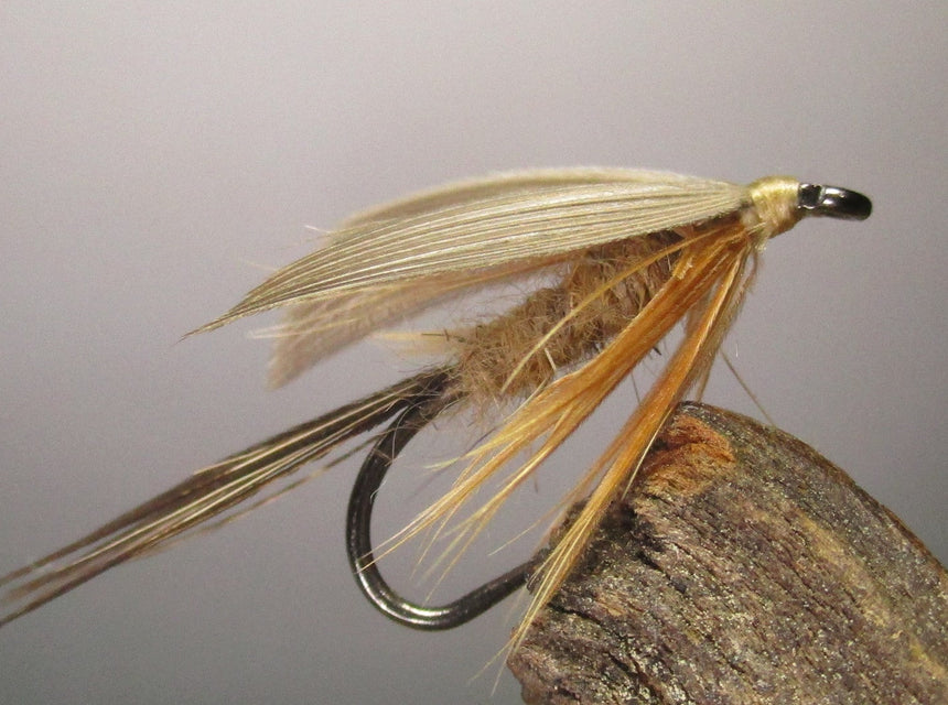 Fly of the Month - March Brown