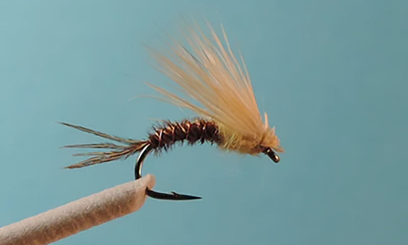 mk sulphur emerger