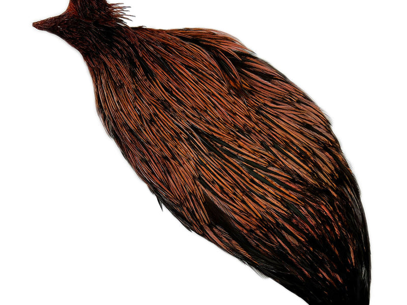 rooster cape
