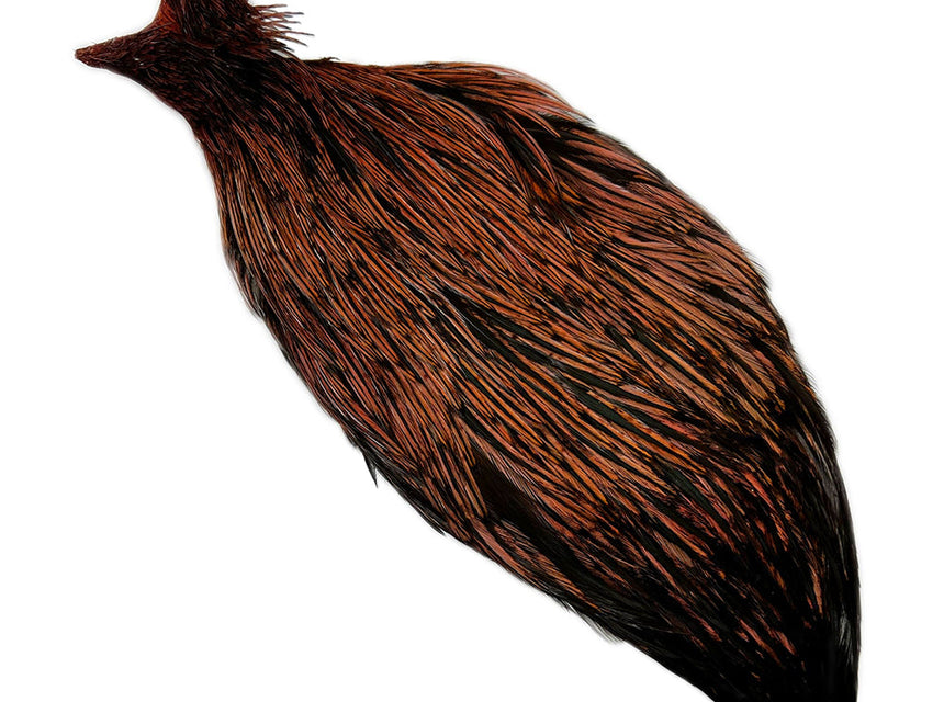 rooster cape