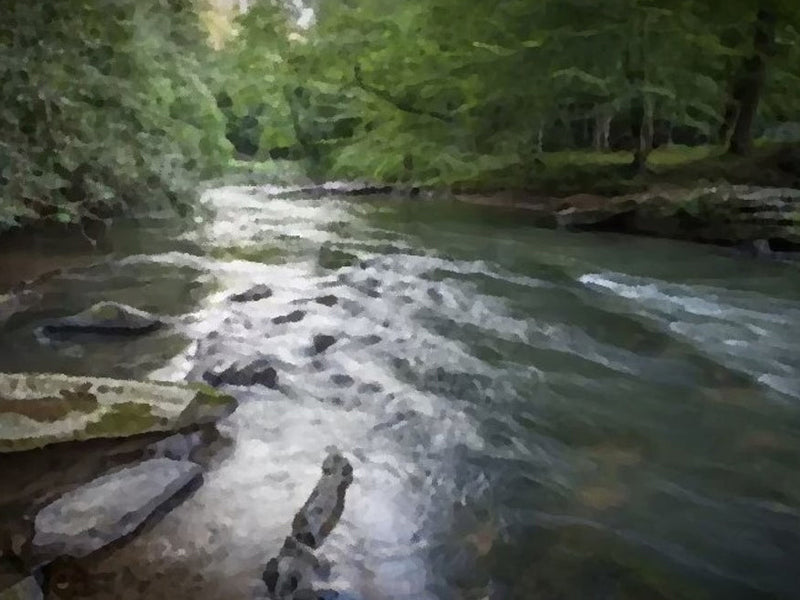 fly fishing stream