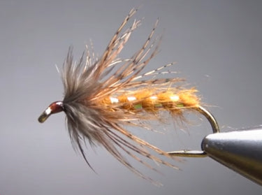 October Caddis Wet Fly