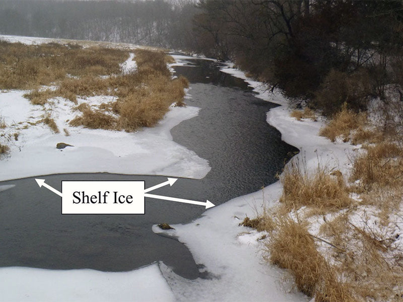 ice shelves
