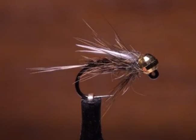 Prince Nymph Jig