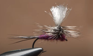 Parachute Purple Haze