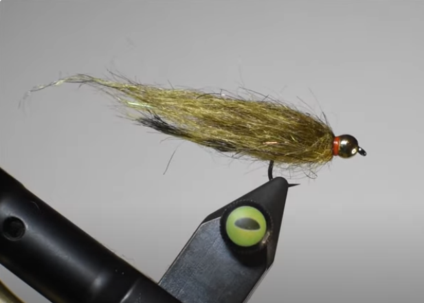 Quick Simi Leech