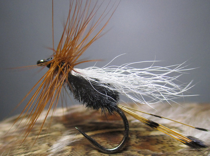 rio grande king fly