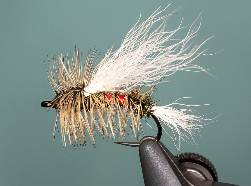 Royal Stimulator Fly Pattern