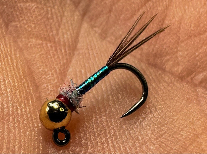 Rainbow Warrior
