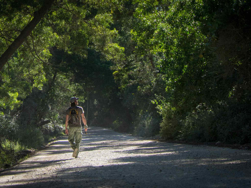 A fly fisherman walking into the woods 