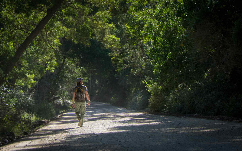 A fly fisherman walking into the woods 