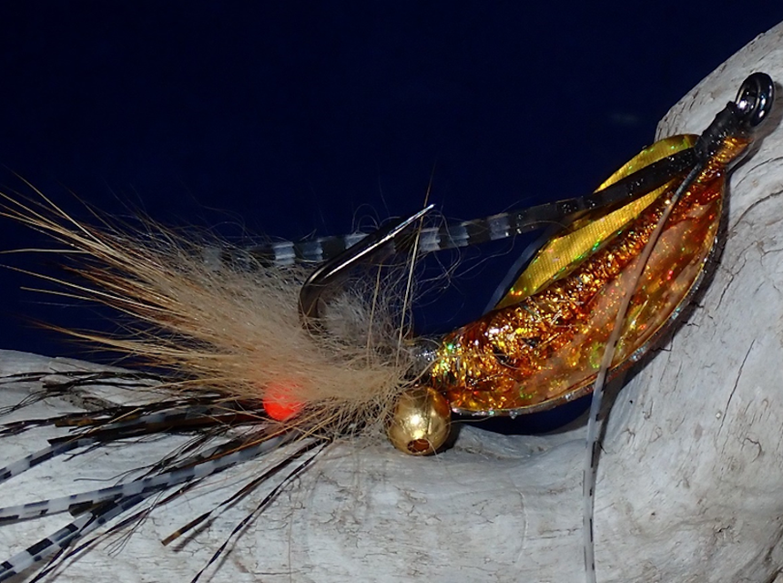 The Shrimpadillo