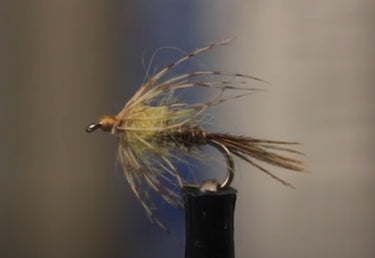 Sulphur Soft Hackle