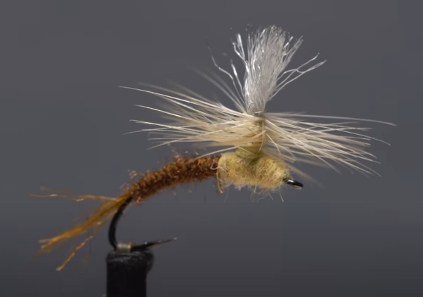 Sulphur Klinkhamer