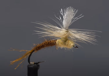 Sulphur Klinkhamer
