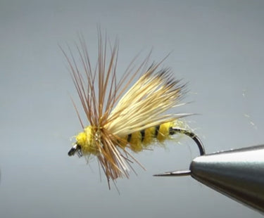 Tennessee Bee
