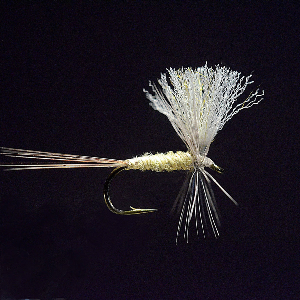 The Poly Dun PMD Fly | Fly Pattern Recipes | J. Stockard – J. Stockard ...