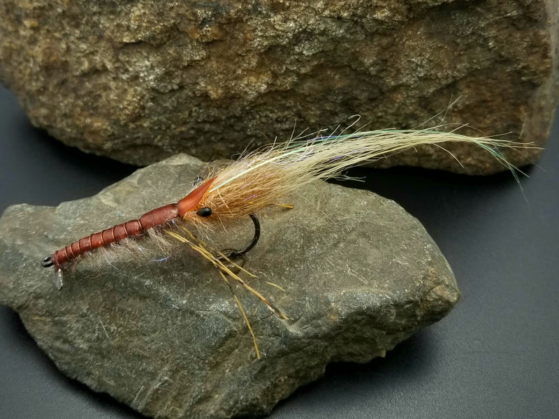Yewchuck's Shrimp