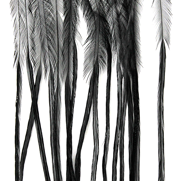 Whiting 100 Pack Saddle Hackle