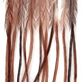 Whiting 100 Pack Saddle Hackle