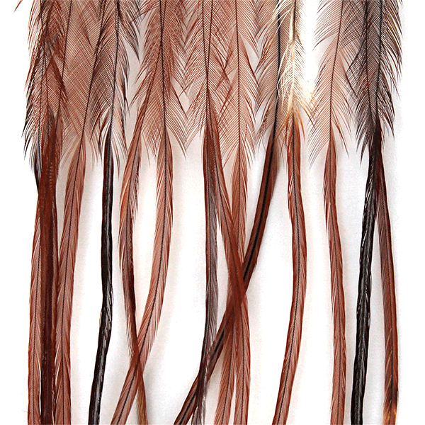 Whiting 100 Pack Saddle Hackle
