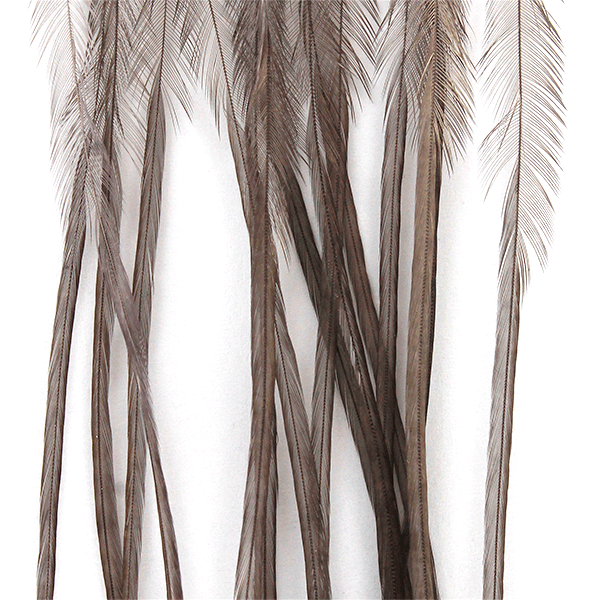 Whiting 100 Pack Saddle Hackle