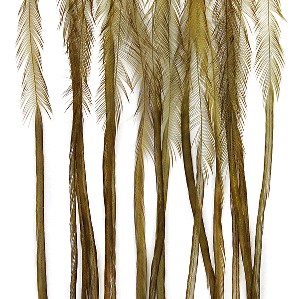 Whiting 100 Pack Saddle Hackle