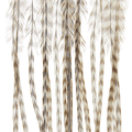 Whiting 100 Pack Saddle Hackle
