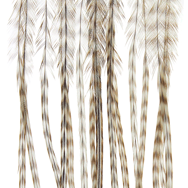 Whiting 100 Pack Saddle Hackle