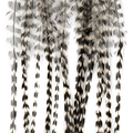 Whiting 100 Pack Saddle Hackle