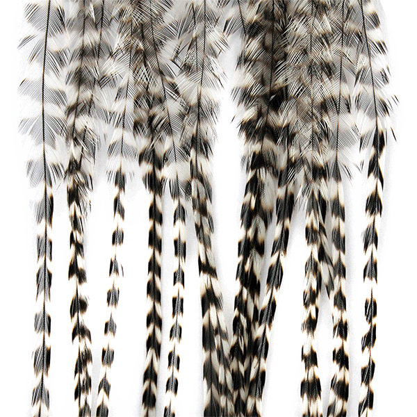 Whiting 100 Pack Saddle Hackle